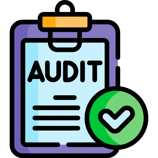 Regular Application Security Audits
